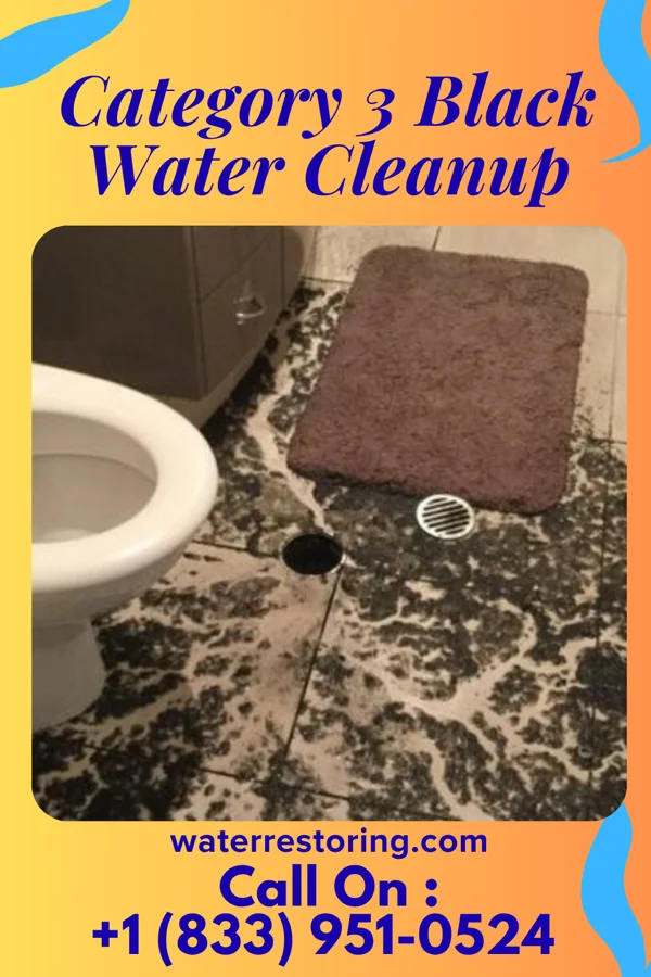 Category 3 Black Water Cleanup in Roberdel, NC