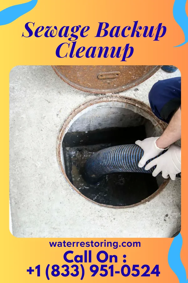 Sewage Backup Cleanup in Roberdel, NC