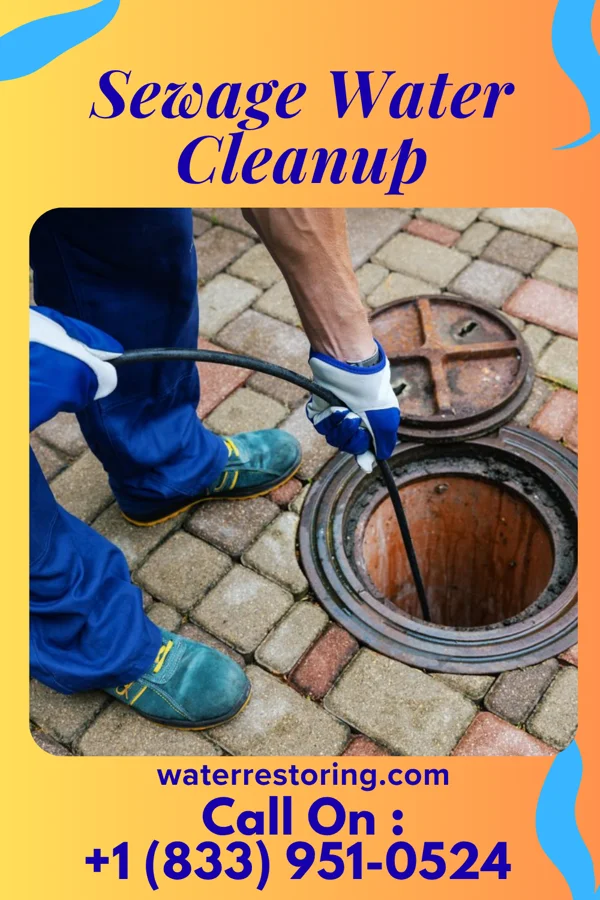 Sewage Water Cleanup in Roberdel, NC